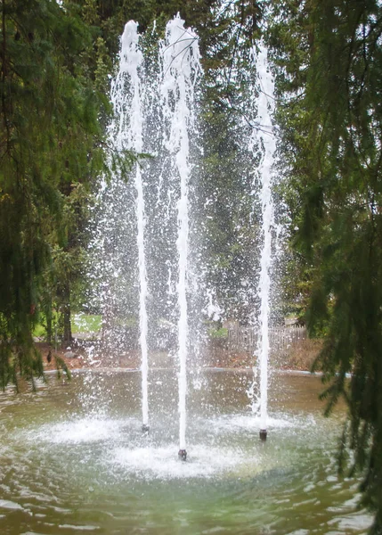 Uma pequena fonte simples no parque na Alemanha — Fotografia de Stock
