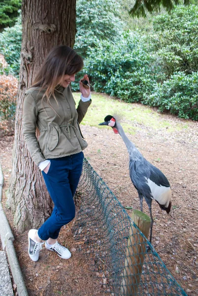 A menina olha para o guindaste coroado, que olha em seu bolso — Fotografia de Stock