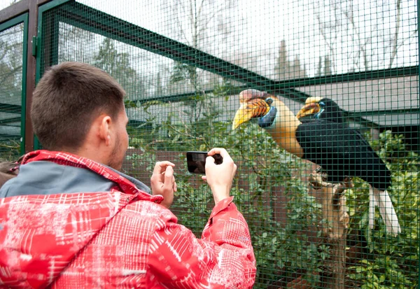 Joven fotografiando a un pájaro en una jaula en el zoológico por teléfono —  Fotos de Stock