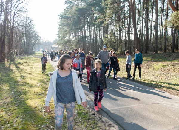 Barn går på våren i en barrskog i en tysk by — Stockfoto