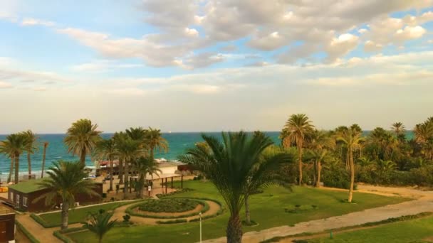热带海滩 延时4K 拍摄的热带海滩的时间推移 令人惊叹的棕榈 天空和海浪从酒店的屋顶 突尼斯 — 图库视频影像