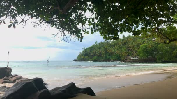 Sabahları Egzotik Ada — Stok video