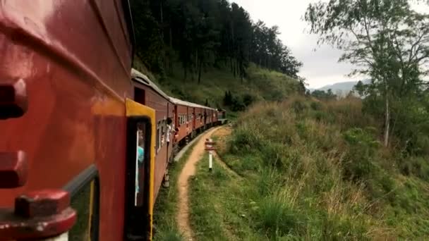 乘火车 丛林风景从火车旅行驾驶 — 图库视频影像