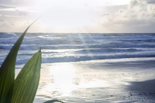 Landschaft des Ozeans und des Strandes. — Stockfoto