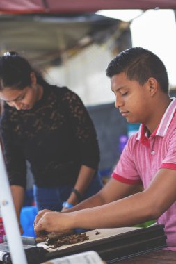 Sigara yapan bir adam. Genç Meksikalı adam el yapımı puro üretiyor..