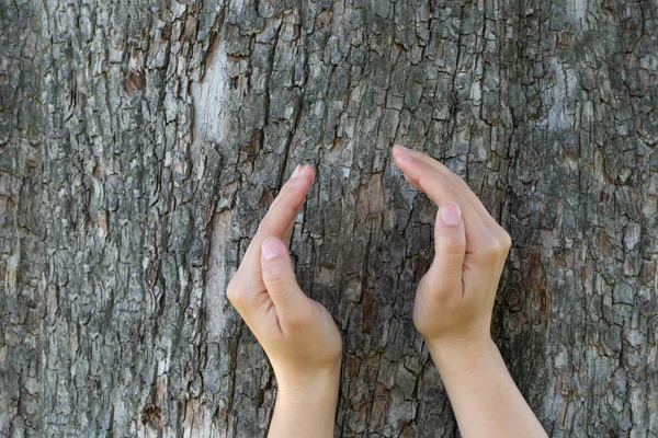 Kız Ağaç Gövdesinden Yapılmış Arka Plana Karşı Koruma Jesti Olarak — Stok fotoğraf