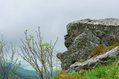 Avrupa, Polonya, Podkarpackie Voyvodeship, Bieszczady, Bieszczady Ulusal Parkı. Bulutlu rüzgâr, ilkbaharın başı.