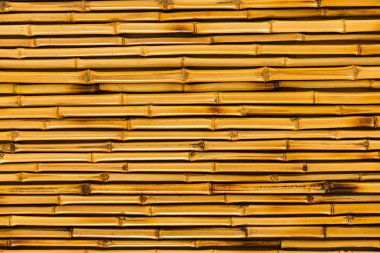 Bambu dokusu. Kuru bambu sapları. yatay konumlandırılmış