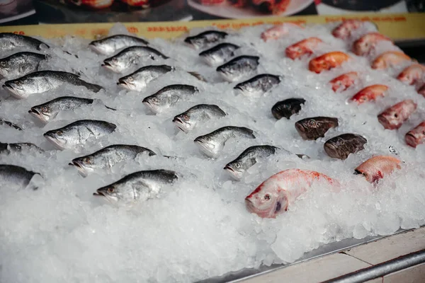 氷の中の新鮮な魚。カウンターの上の魚 — ストック写真