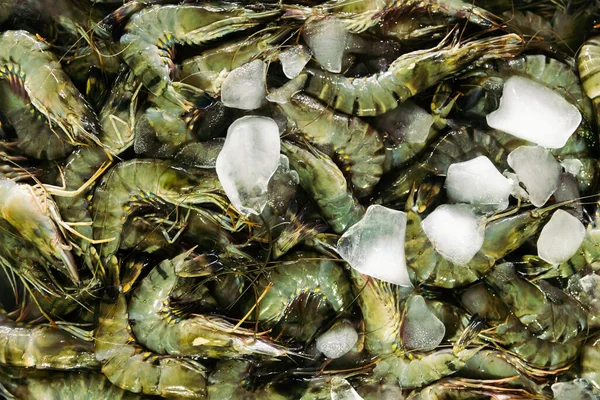 Buzlu taze karidesler. Arkaplan, doğa
