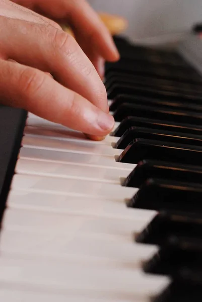 The musician plays the piano. The male fingers on the keys of the piano.