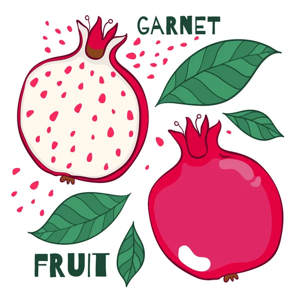 Granatäpple illustration. Garnet-ikonen. — Stock vektor