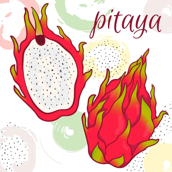 Pitaya Croquis de fruits du dragon tropical. Pitahaya rose exotique avec des feuilles vertes sur le dessus . — Image vectorielle