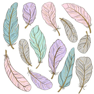 Farklı tüyleri beyaz bir arka plan üzerinde boyanır. Hassas renklerde boyanmış.