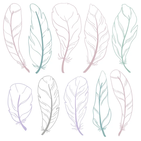 The different feathers are painted outline on a white background. Painted in delicate colors. — Stock Vector