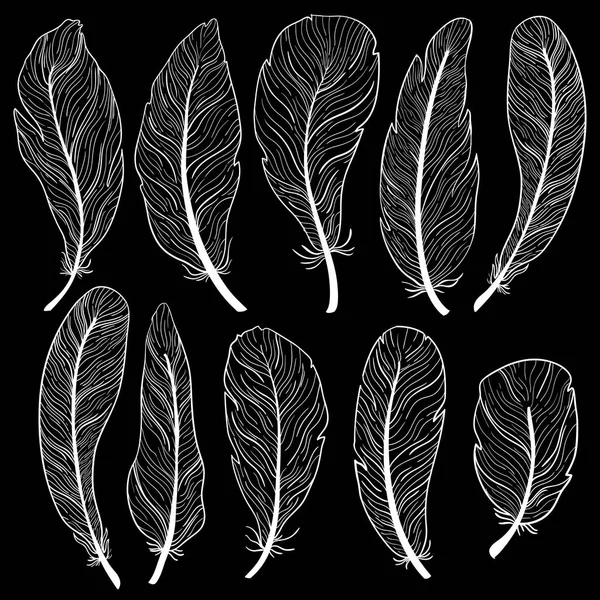 The different feathers are painted outline on a black background. Painted in delicate colors. — Stock Vector