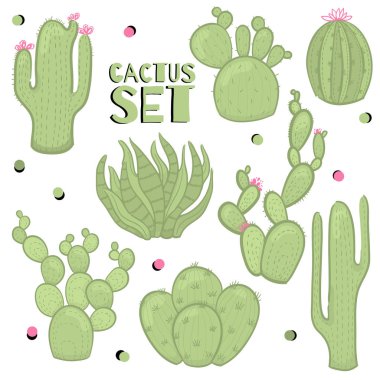 Vektör karikatür kaktüs set. Farklı bitki türleri.
