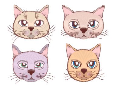 Beyaz arka planda çalýþmasýný kafa ifadeleri vektör kedi yüz.