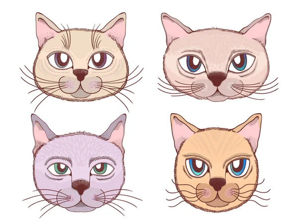 Gatti faccia testa emoticon vettoriale impostato su sfondo bianco . — Vettoriale Stock