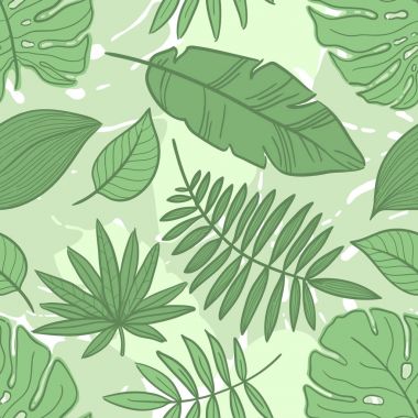 Vektör tropikal palmiye yaprakları, orman, bölünmüş yaprak, bitkiyi, beyaz arka plan üzerinde izole set.