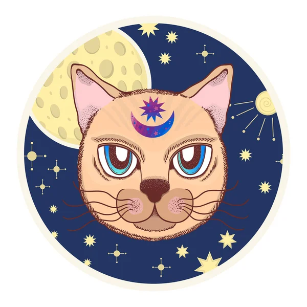 Bir kedi, ay, yıldız ile vektör. Magical ve peri. Kartpostallar, tekstil baskı, poster için uygun. — Stok Vektör
