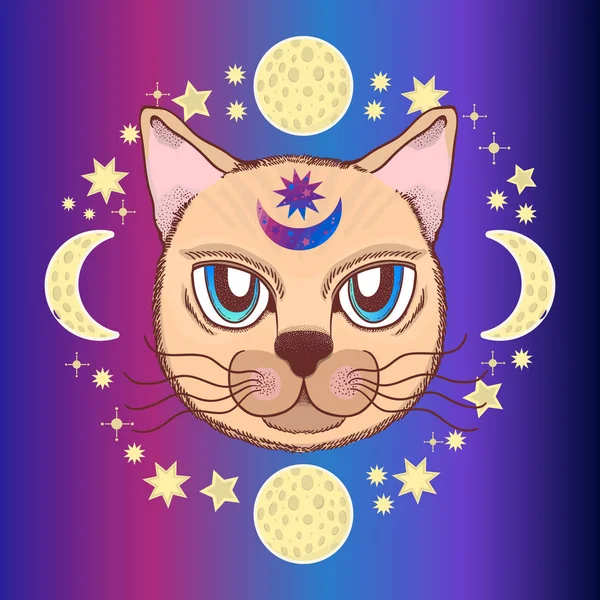 Bir kedi, ay, yıldız ile vektör desen. Magical ve peri. Kartpostallar, tekstil baskı, poster için uygun. — Stok Vektör