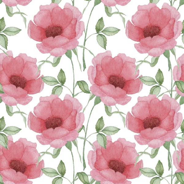 Padrão Sem Costura Com Flores Rosa Folhas Fundo Branco Aquarela — Fotografia de Stock