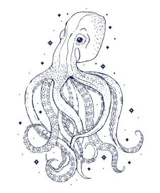 Vahşi bitkiler, otlar ve çiçekler, tek renkli botanik illüstrasyon vintage tarzı, doğal çiçek şablon çizim ile arka plan vektör.