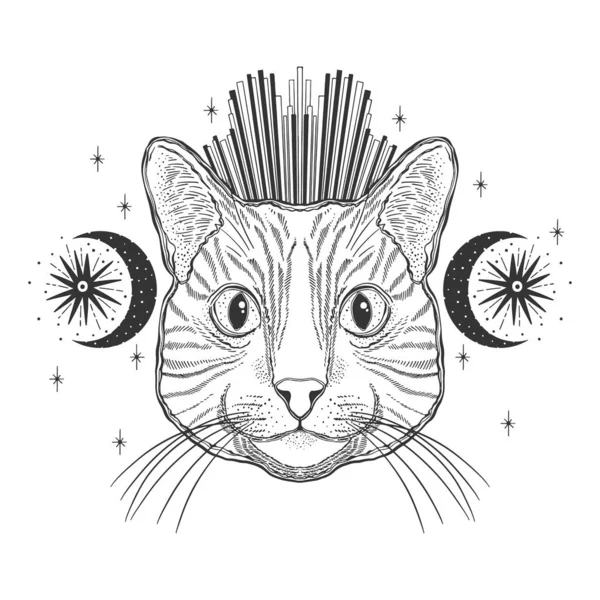 Gato mágico místico. Retrato rosto cabeça mão desenhada vintage style.Li — Vetor de Stock