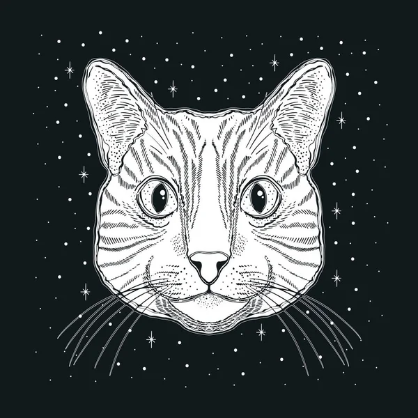 Mistik sihirli kedi. Portre başı çizilmiş klasik el. — Stok Vektör