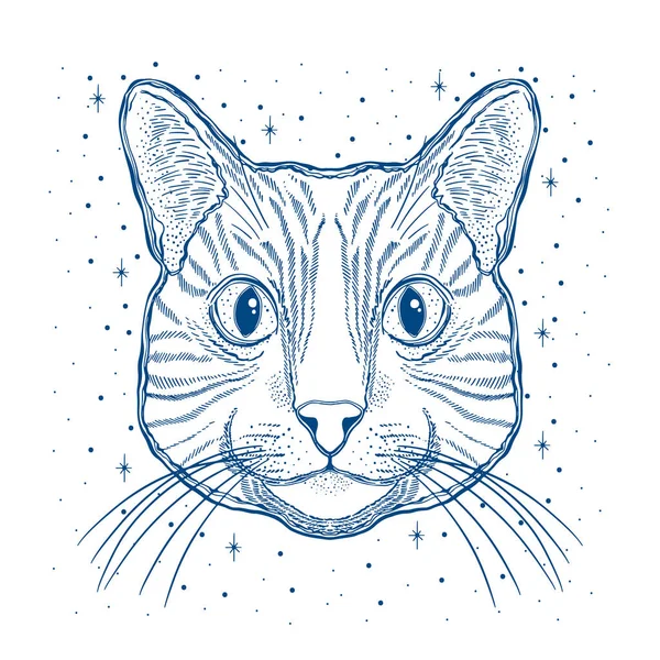 神秘的な魔法の猫。肖像画の顔の頭の手のヴィンテージスタイルを描いた。 — ストックベクタ