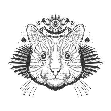 Mistik sihirli kedi. Portre başı çizilmiş klasik el.