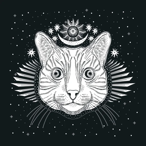 Gatto magico mistico. Ritratto volto testa disegnato a mano vintage style.Li — Vettoriale Stock