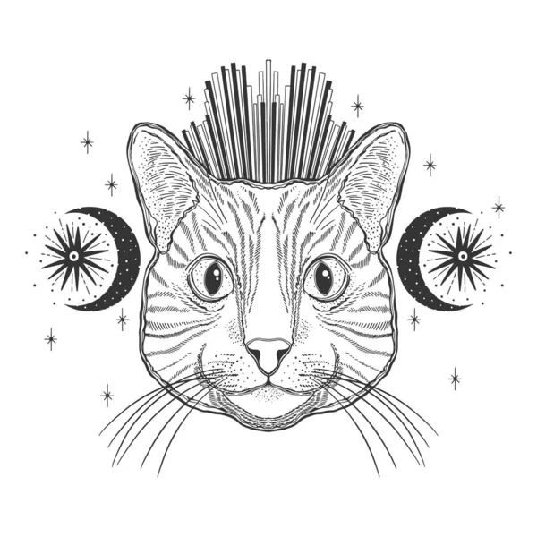 रहस्यमय जादूची मांजर. पोर्ट्रेट चेहरा डोके हात काढले व्हिंटेज शैली.लाईन कला शाई चित्रकला. ग्राफिक डिझाइन टॅटू . — स्टॉक व्हेक्टर