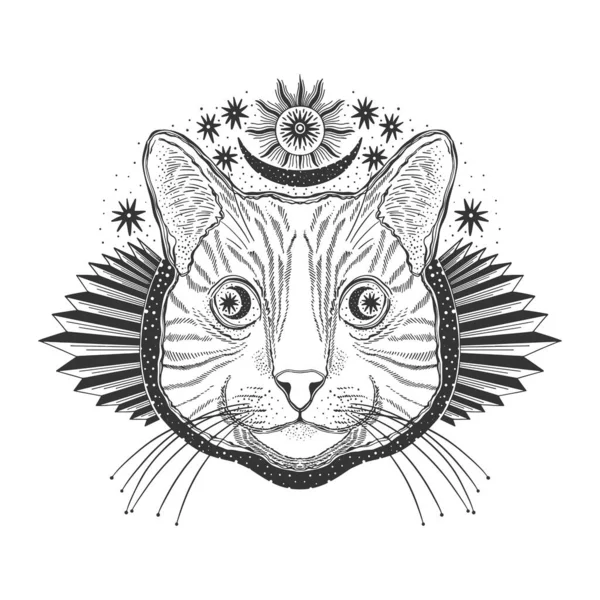 Gato Mágico Místico Retrato Rosto Cabeça Mão Desenhado Vintage Style — Vetor de Stock