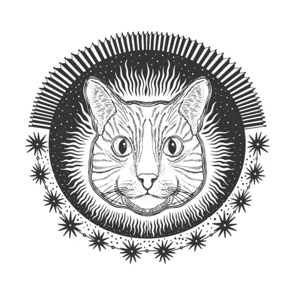 Mistik sihirli kedi. Portre yüzü baş çizimi. Resim çizimi. Grafik tasarım dövmesi.. — Stok Vektör