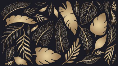 Doğa el çizimi seti. Koleksiyon botanik elementi. Zarif klasik stil. Vektör illüstrasyonu..