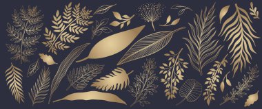 Doğa el çizimi seti. Koleksiyon botanik elementi. Zarif klasik stil. Vektör illüstrasyonu..