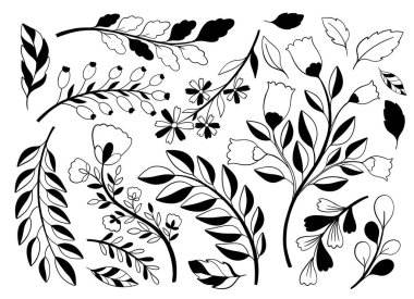 Doğa el çizimi seti. Koleksiyon botanik elementi. Zarif klasik stil. Vektör illüstrasyonu..