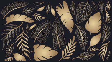 Doğa el çizimi seti. Koleksiyon botanik elementi. Zarif vintage tarzı..