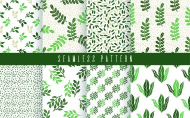 Kusursuz desenli yeşil bitki seti. Doğanın çiçekli süsü. Vektör illüstrasyonu
