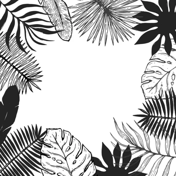Tropické Rostlinné Listy Rámečku Botanické Květinové Prvky Pozadí Vektorová Ilustrace — Stockový vektor