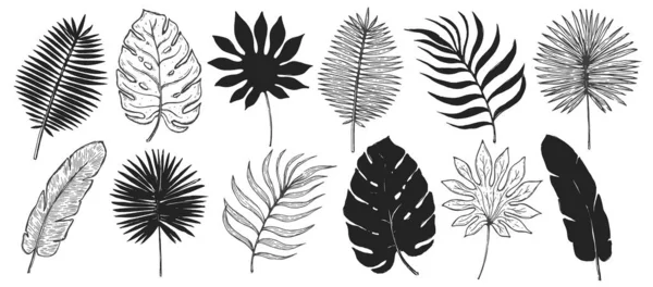 Tropisch Plantenblad Set Botanische Bloemenelement Achtergrond Ontwerp Voor Home Decor — Stockvector