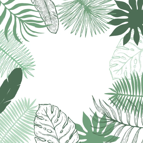 Tropické Rostlinné Listy Rámečku Botanické Květinové Prvky Pozadí Vektorová Ilustrace — Stockový vektor