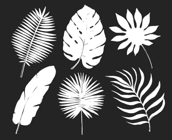 Tropisch Plantenblad Set Botanische Bloemenelement Achtergrond Ontwerp Voor Home Decor — Stockvector