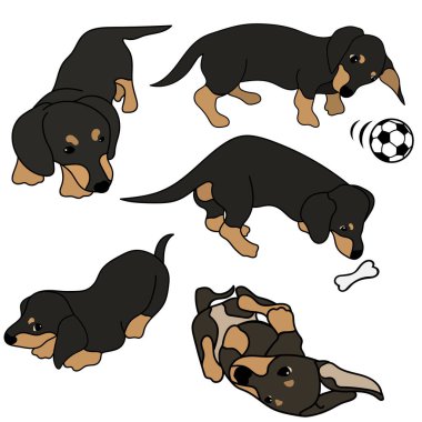 Set dachshund dog breed. Vector image in minimal style. Animal badge art, cute cartoon style, hand drawn image. German badger-dog. Small hunter dog sign in flat style. Pet design for print. Puppy lies. Hand drawn puppy. Children's illustration.  clipart