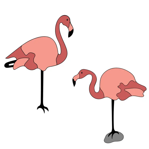 Flamingo Illustration Isoliert Auf Weißem Hintergrund Vektor Symbol Des Flamingos — Stockvektor