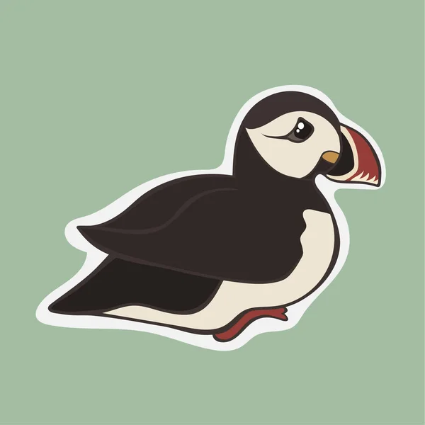 Imagem Vetor Pássaro Puffin Isolado Fundo Branco Puffin Islandês Desenhos — Vetor de Stock