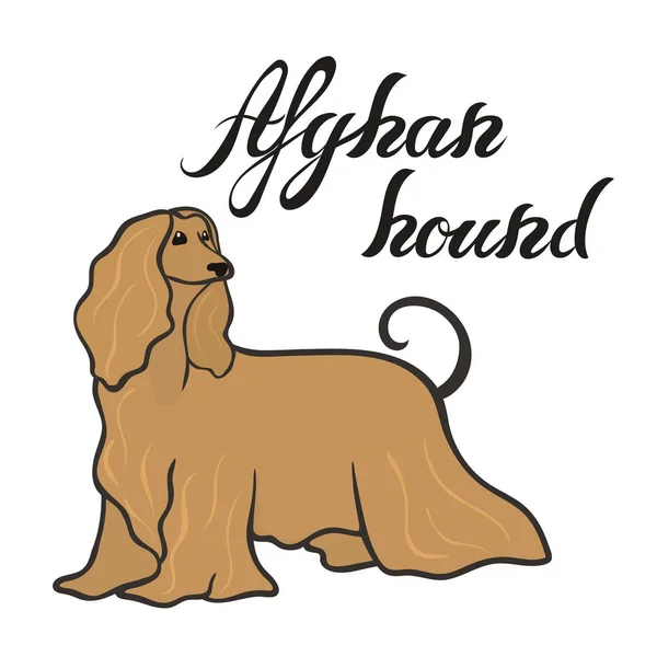 Afghan Hundezucht Vektor Silhouette Zeichen Doggy Image Minimalem Stil Flache — Stockvektor