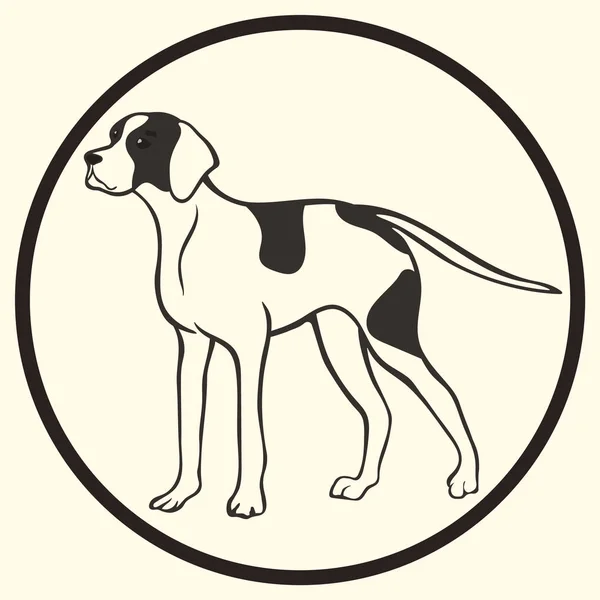 Englisch Zeiger Rasse Vektor Silhouette Zeichen Symbol Doggy Sketch Minimalistischem — Stockvektor